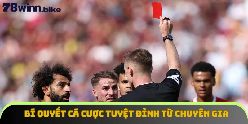 Bí quyết cá cược tuyệt đỉnh từ chuyên gia