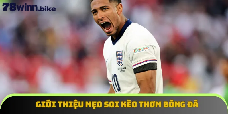 Giới thiệu mẹo soi kèo thơm bóng đá